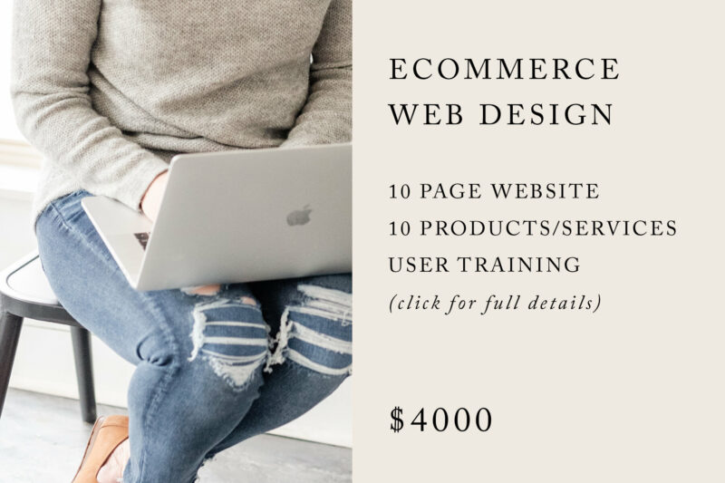 eCommerce Web Design Package